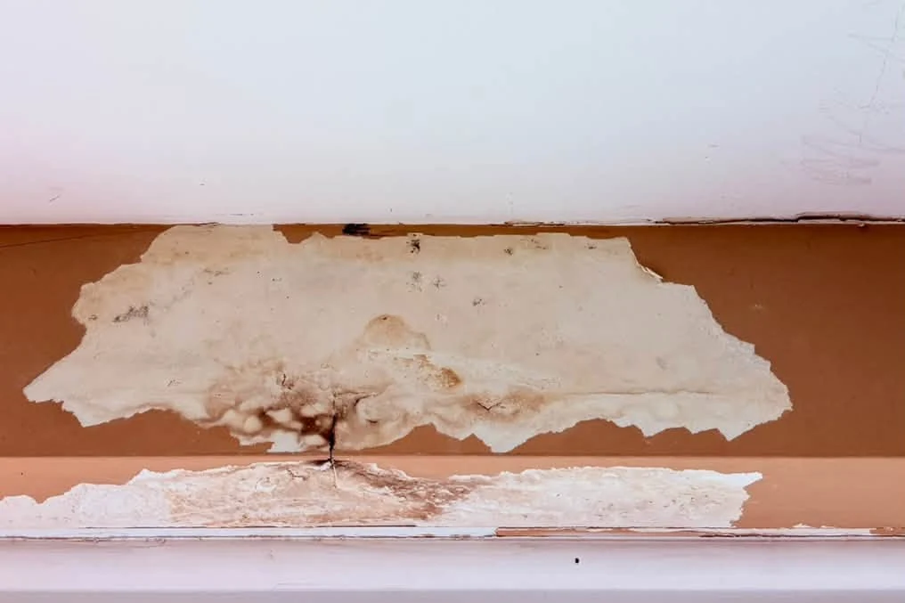 Peeling, water-stained paint above a window before repair